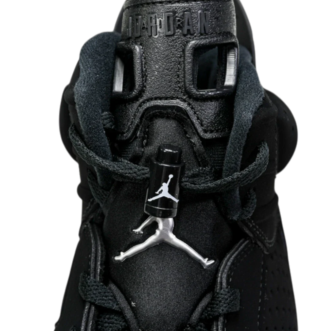 AJ6 Retro 'Chrome'