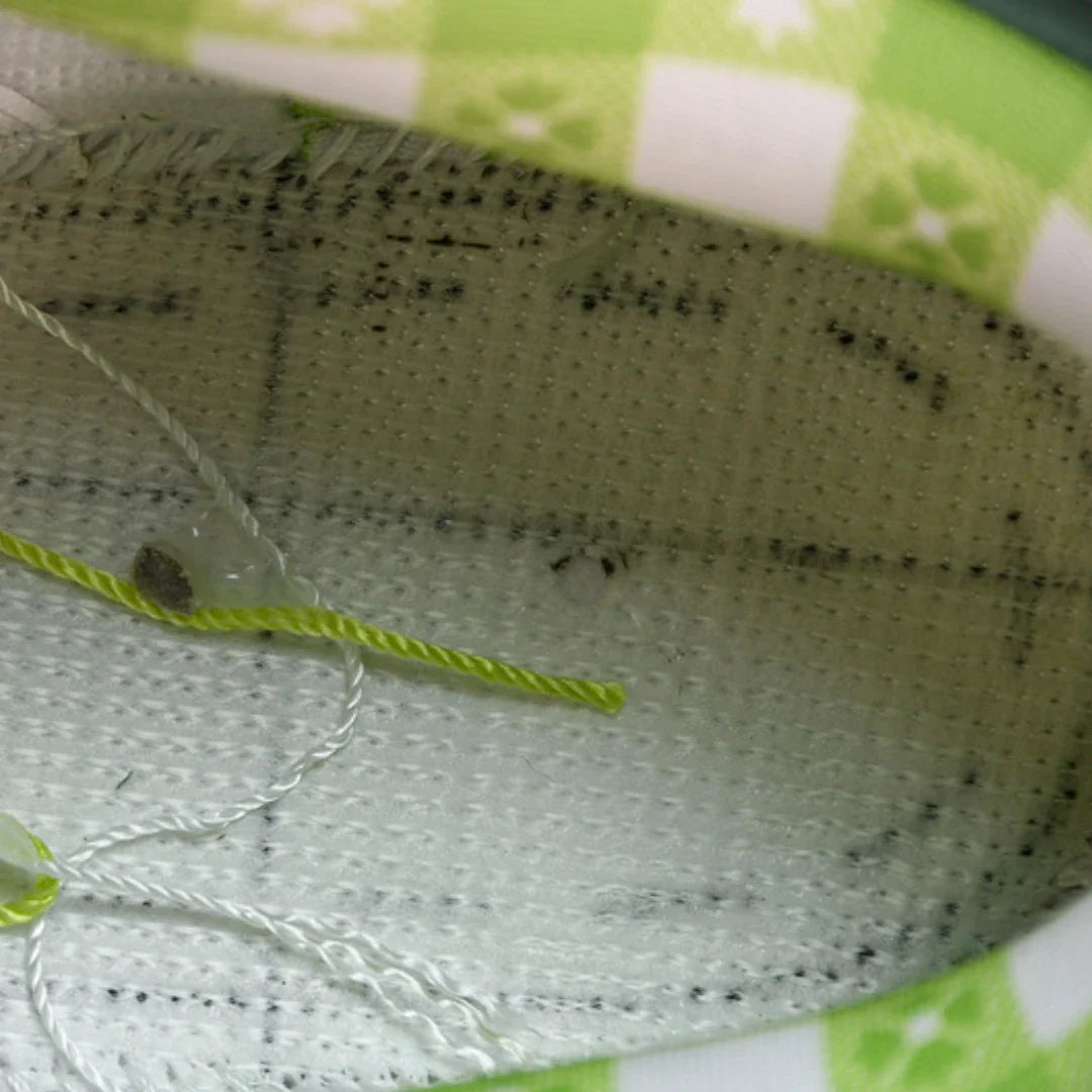 Concepts x SB Dnk Low 'Green Lobster'