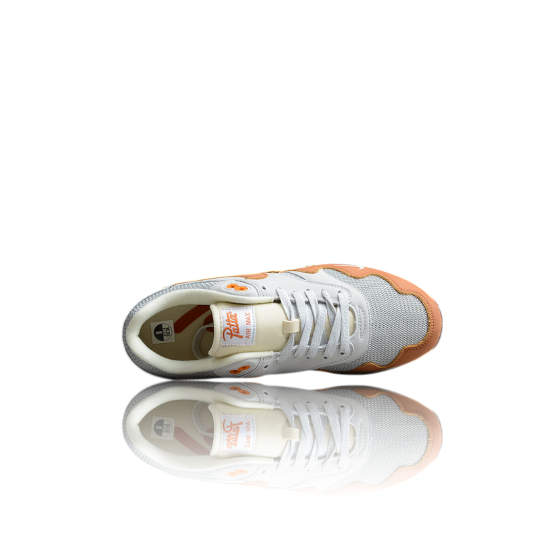 AM1 x Patta 'Waves Monarch'